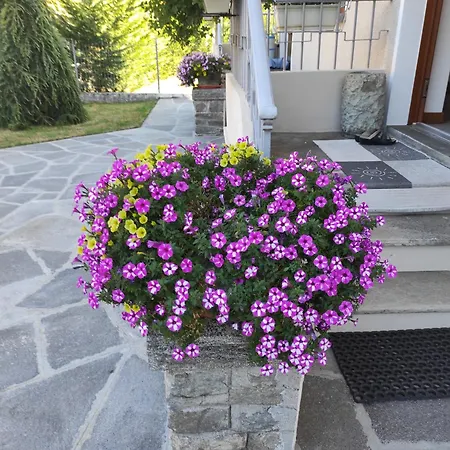 Casa Giobet Vista Sulle Alpi, Giardino & Relax *